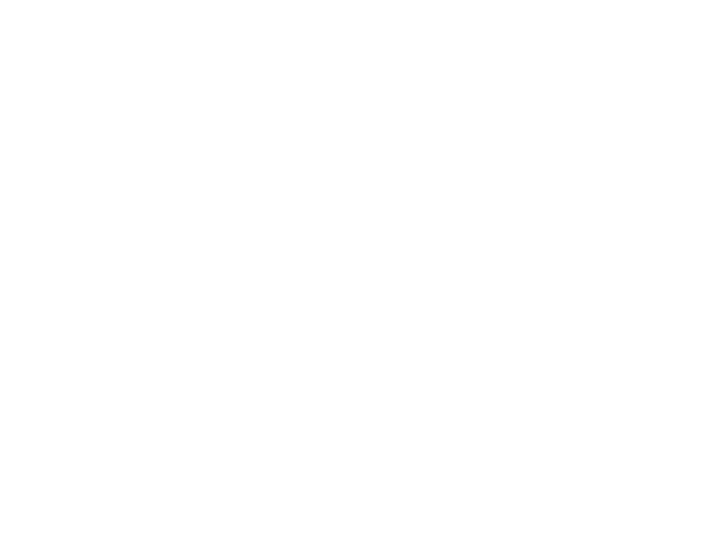 Naples Soap Company — Logo